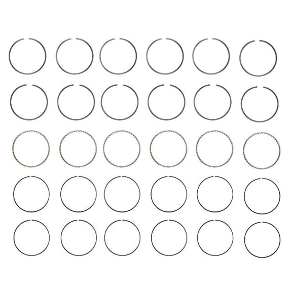 Premium Piston Ring Set (Size 1.00mm) | Compatible with 95-08 GM 3.8L/231 OHV V6 12V VINs "1,2,4,C,K,L" Engines