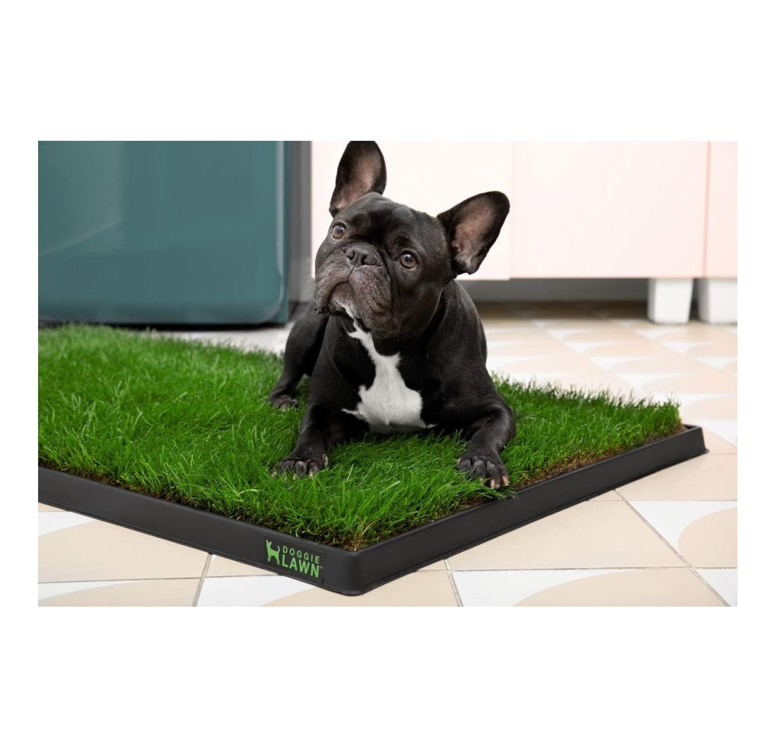 Premium Plastic Tray for XL Real Grass Potty Pad Indoor and Outdoor