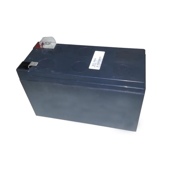 P Premium Power Products Replacement UPS Battery 12 Volt Automotive Battery, 850 CCA