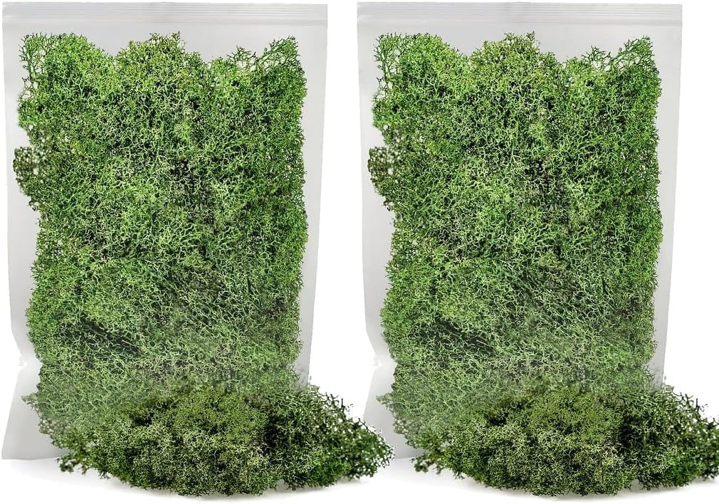 ⭐ Premium Preserved Reindeer Moss for Potted Plants, Terrariums, Fairy Gardens, Arts and Crafts or Floral Decor Design in BASIL GREEN (10 Quart Bag)