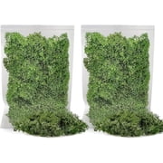Premium Preserved Reindeer Moss for Potted Plants, Terrariums, Fairy Gardens, Arts and Crafts or Floral Decor Design in BASIL GREEN 10 Quart Bag