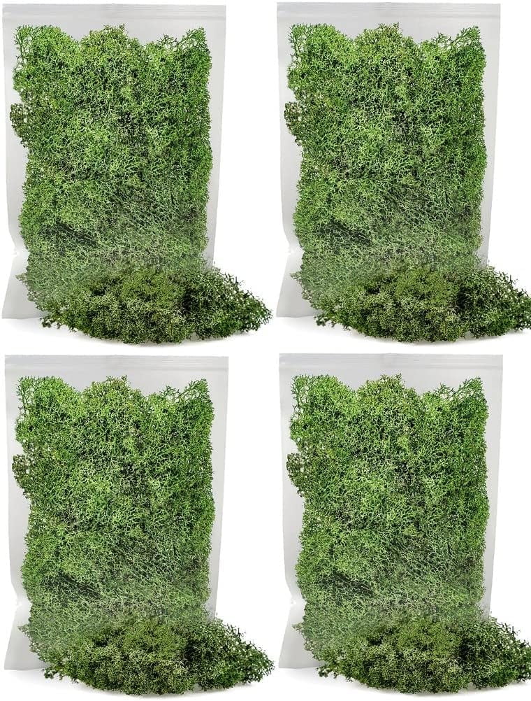 ⭐ Premium Preserved Reindeer Moss for Potted Plants, Terrariums, Fairy Gardens, Arts and Crafts or Floral Decor Design in BASIL GREEN (20 Quart Bag)