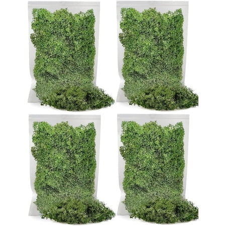? Premium Preserved Reindeer Moss for Potted Plants, Terrariums, Fairy Gardens, Arts and Crafts or Floral Decor Design in BASIL GREEN (20 Quart Bag)