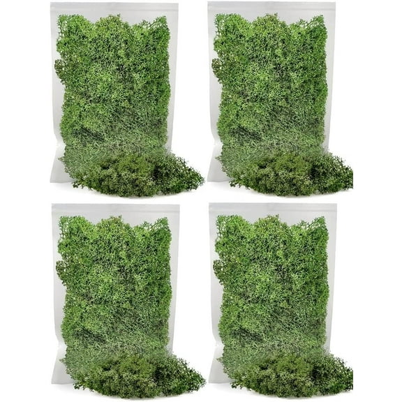 ⭐ Premium Preserved Reindeer Moss for Potted Plants, Terrariums, Fairy Gardens, Arts and Crafts or Floral Decor Design in BASIL GREEN (20 Quart Bag)