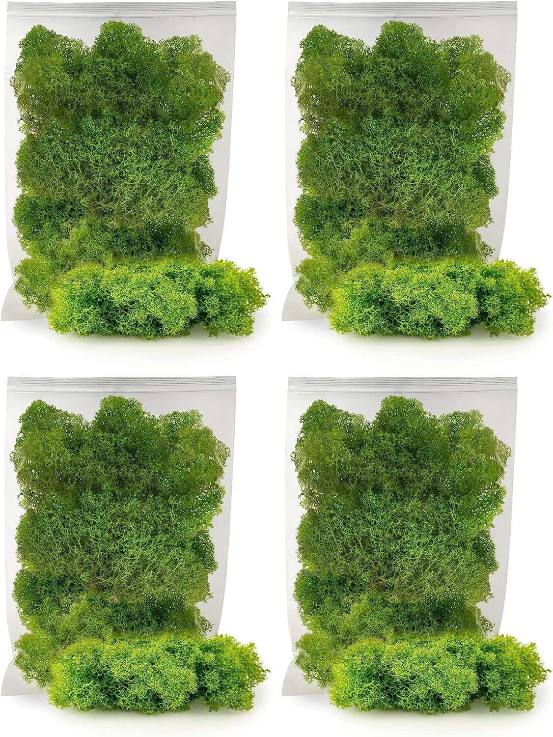 ⭐ Premium Preserved Reindeer Moss for Potted Plants, Terrariums, Fairy Gardens, Arts and Crafts or Floral Decor Design in SPRING GREEN (20 Quart Bag)