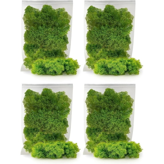 ⭐ Premium Preserved Reindeer Moss for Potted Plants, Terrariums, Fairy Gardens, Arts and Crafts or Floral Decor Design in SPRING GREEN (20 Quart Bag)