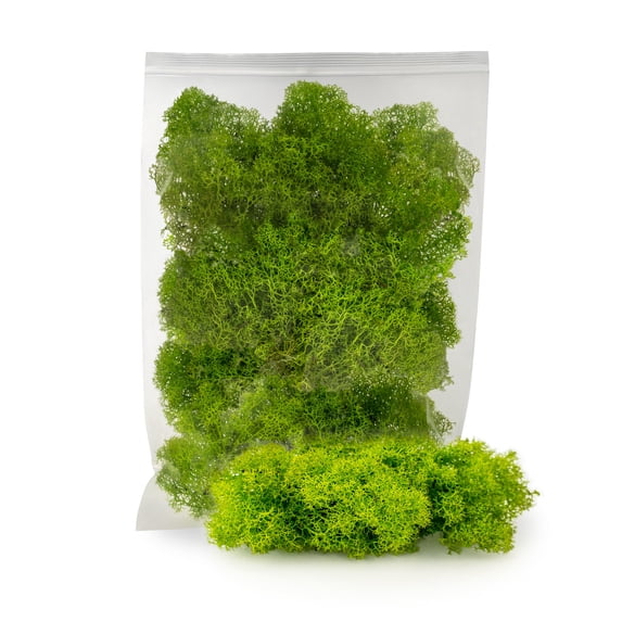 ⭐ Premium Preserved Reindeer Moss for Potted Plants, Terrariums, Fairy Gardens, Arts and Crafts or Floral Decor Design in SPRING GREEN (3 Quart Bag)