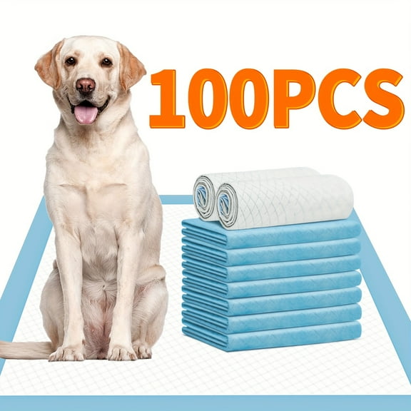 Premium Quick Absorb Large 22" X 22" 400/300/200/100/50pcs Disposable Training Pads - Puppy Pee Pads - Odor Control, Leak-Proof, Super Absorbent Layers - In Training Pad for Dogs, Pets
