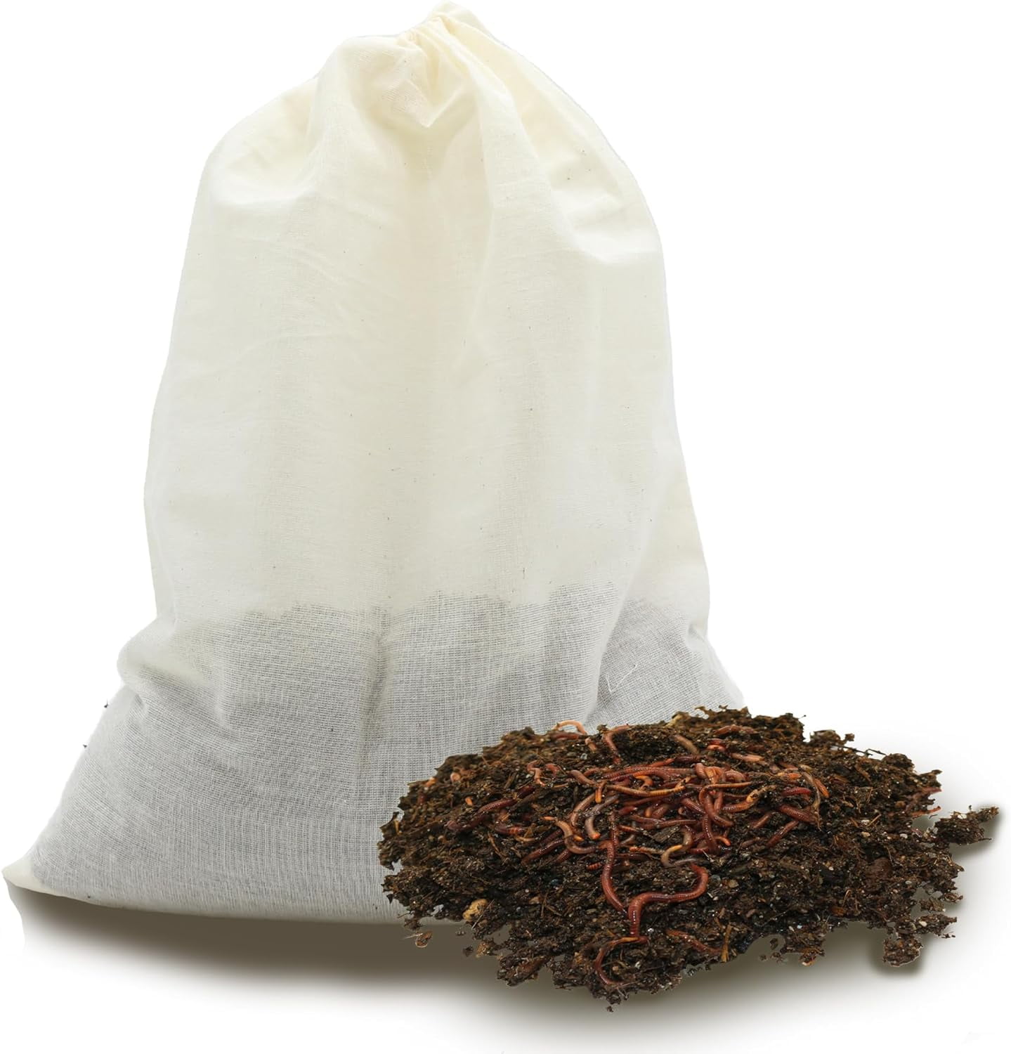 Premium Redworms, Red Wiggler For EcoFriendly Gardening And Composting
