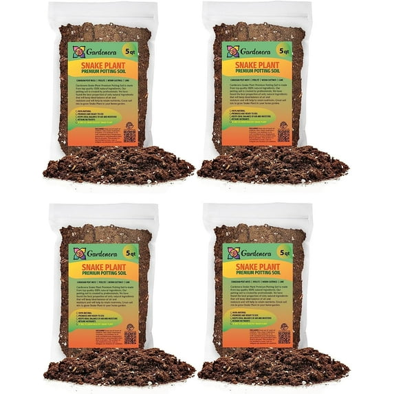 ⭐ Premium Snake Plant Potting Soil Mix, Green Sansevieria Trifascatia Zeylanica Plants, Plant or Re-Pot Your Snake Plant - (20 Quart Bag)