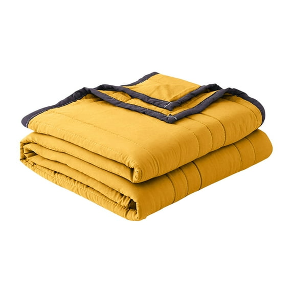 Premium Soft Weighted Ice Blanket for Adults, Breathable, Summer Cooler Quilt For Hot Sleepers And Night Sweats,40*55 Inch