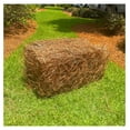Premium Square Pine Straw Bale Easy to Spread & Handle Good Quality