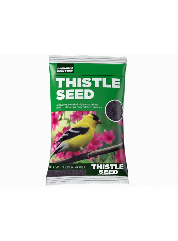 Bird Seeds in Bird Feed