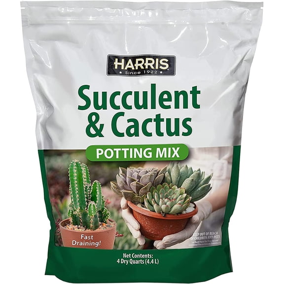 Premium Succulent and Cactus Potting Soil Mix, Fast Draining with Added Nutrients, 4 Quarts
