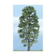 thumbnail image 1 of Premium Trees - Basswood (4") New, 1 of 2