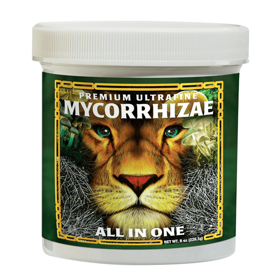 Premium Ultrafine Mycorrhizae - Beneficial Root System Bacteria - 8 oz Jar by GreenGro