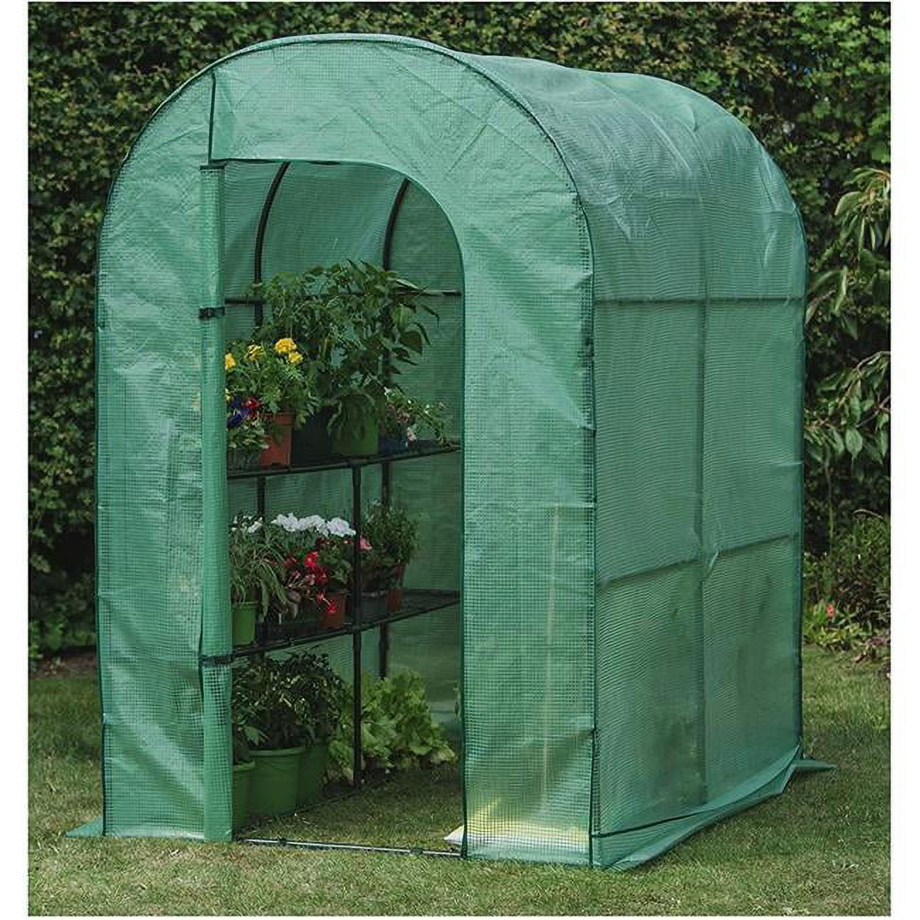 Premium Walk in Greenhouse