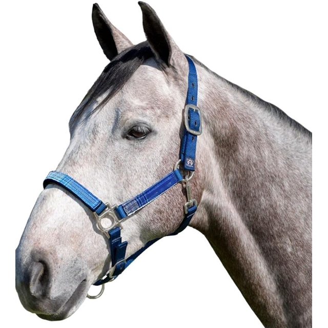 Premium with Padded Nose — Stronger Than Leather — Padded Nose Piece