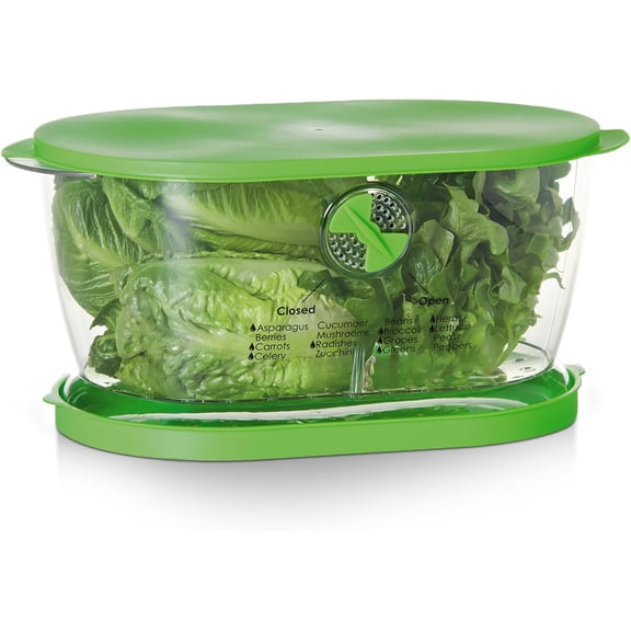 Prep Solutions by Lettuce Keeper Produce Storage Container, 4.7 Quarts, Green (LKS-06)