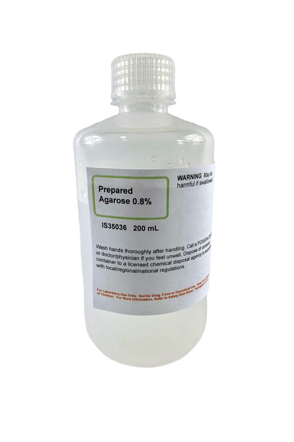Prepared Agarose 0.8%, 200mL - Reagent Grade - Melt & Pour into Casting Tray - The Curated Chemical Collection by Innovating Science