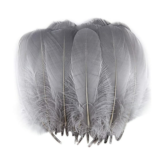 Preplabs Natural Goose Feathers for DIY Crafts, Large Floating Feathers in Multicolor Assortment, Biodegradable and Eco-Friendly, Perfect for Wedding Decor, Party Arrangements, and Artistic Projects