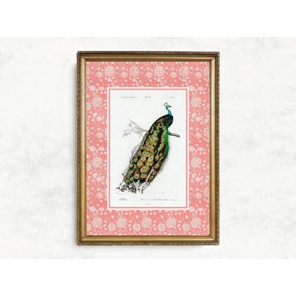 Preppy Peacock Art Poster, Vintage Peacock Wall Art, Nancy Meyers Preppy Pink Wall Art Grandmillenial Art Cottage Core Decor364, Unframed Poster Size 8x12