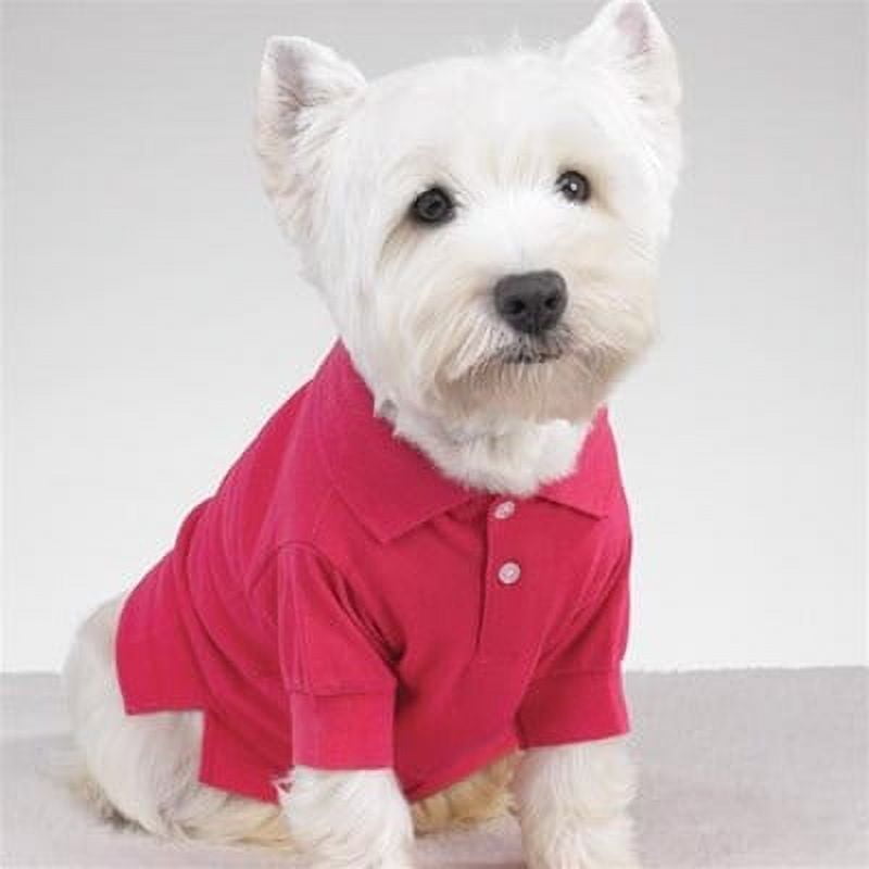 Dog polos 2025