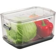 Prepworks by Progressive Produce ProKeeper Storage Container with Stay