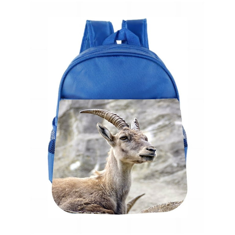 Preschool Backpack Animals Goat on Mountain Kids Backpack Toddler -  Walmart.com