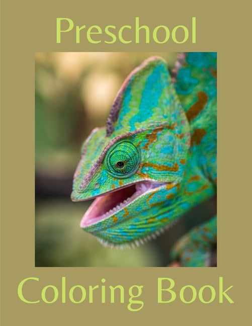 Preschool Coloring Book: First Doodling For Children Ages 1-3 - Many Big Animal Illustrations For Coloring, Doodling and, (Paperback)