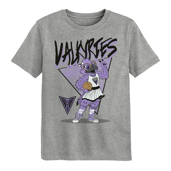 Preschool Outerstuff  Heather Gray Golden State Valkyries Team Mascot T-Shirt