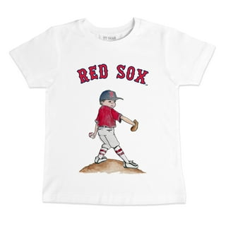 Boston Red Sox Baseball MLB 2022 Shirt Sweatshirt - Teeholly