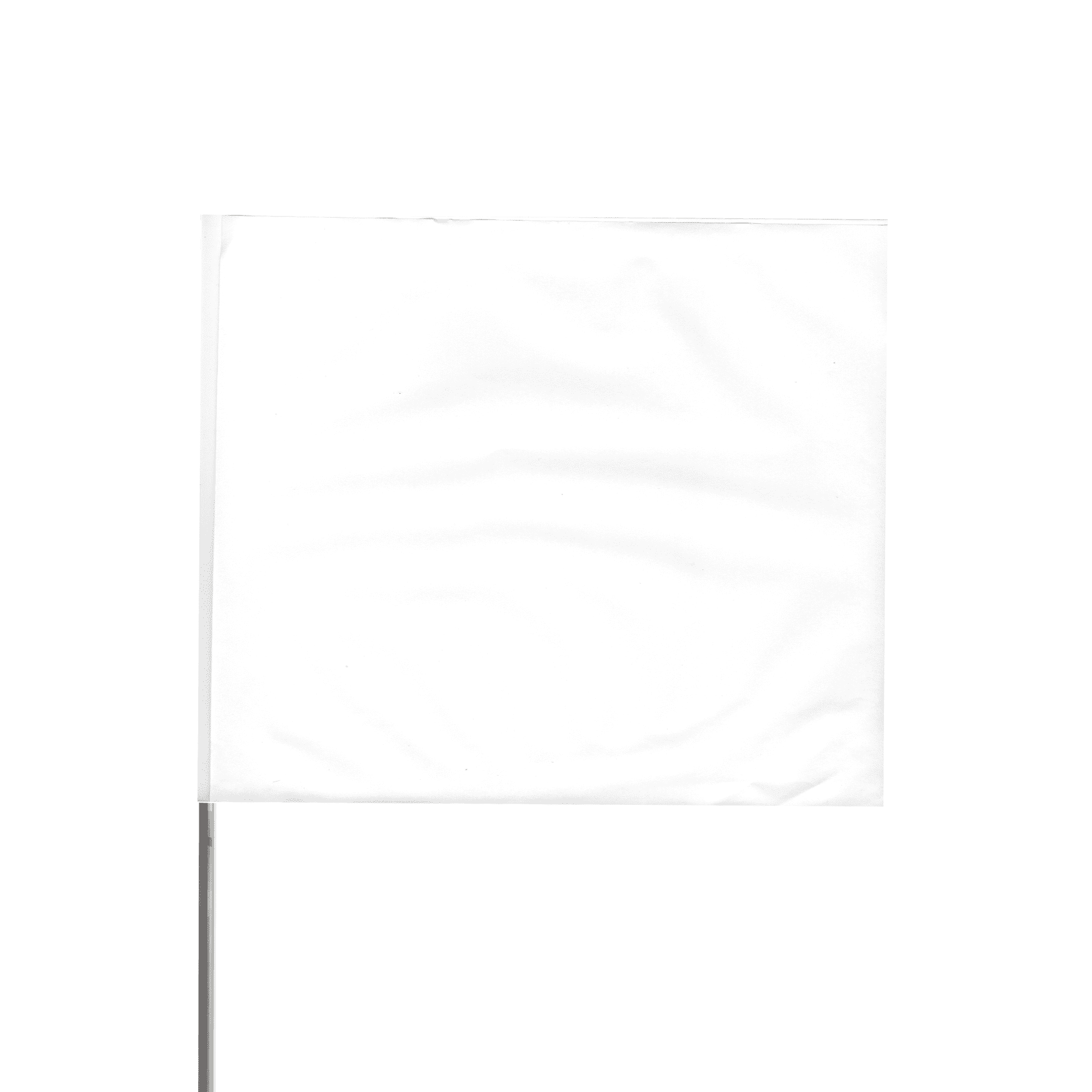Presco Steel Wire Staff Marking Flags [2.5 in. x 3 in. Flag]: 21 in ...
