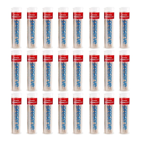 Preserve Flavored Toothpicks Birch Wood Toothpicks 24 Count, Cinnamint