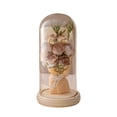 thumbnail image 1 of Preserved Artificial Flower Bouquet with Warm White LED Strip in transparant Dome for Chiristmas Mother's Day Valentine's Day Birthday Wedding, for Mum Wife Girlfriend Grandmother, 1 of 7
