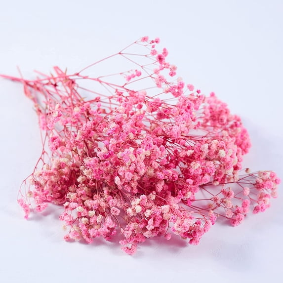 Preserved Baby's Breath 3 Bunches, 100% Natrual Fresh Gypsophila Long Lasting Flowers for Vase Arrangements Home Decoration Photo Props Parties and Weddings, DIY Décor-Pink