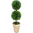 thumbnail image 1 of Preserved Boxwood 20" Double Ball Topiary, 1 of 3
