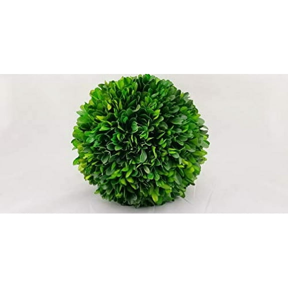 Preserved Boxwood 6" Balls