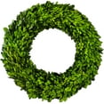thumbnail image 1 of Preserved Boxwood Wreath 20 in by, 1 of 1