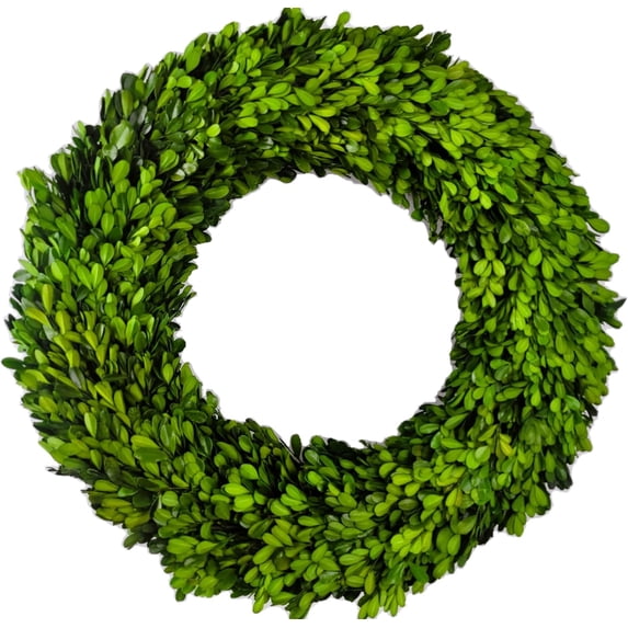 Preserved Boxwood Wreath 20 in by
