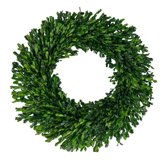 Preserved Boxwood Wreath 21" w/ Hanger