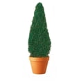 thumbnail image 1 of Preserved Cone in Paper Mache Pot 30 in., 1 of 1