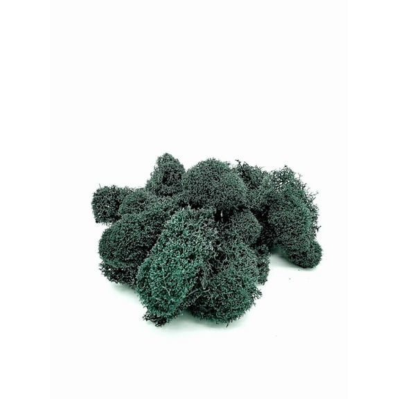 Preserved Deerfoot Moss Neptune 1lB