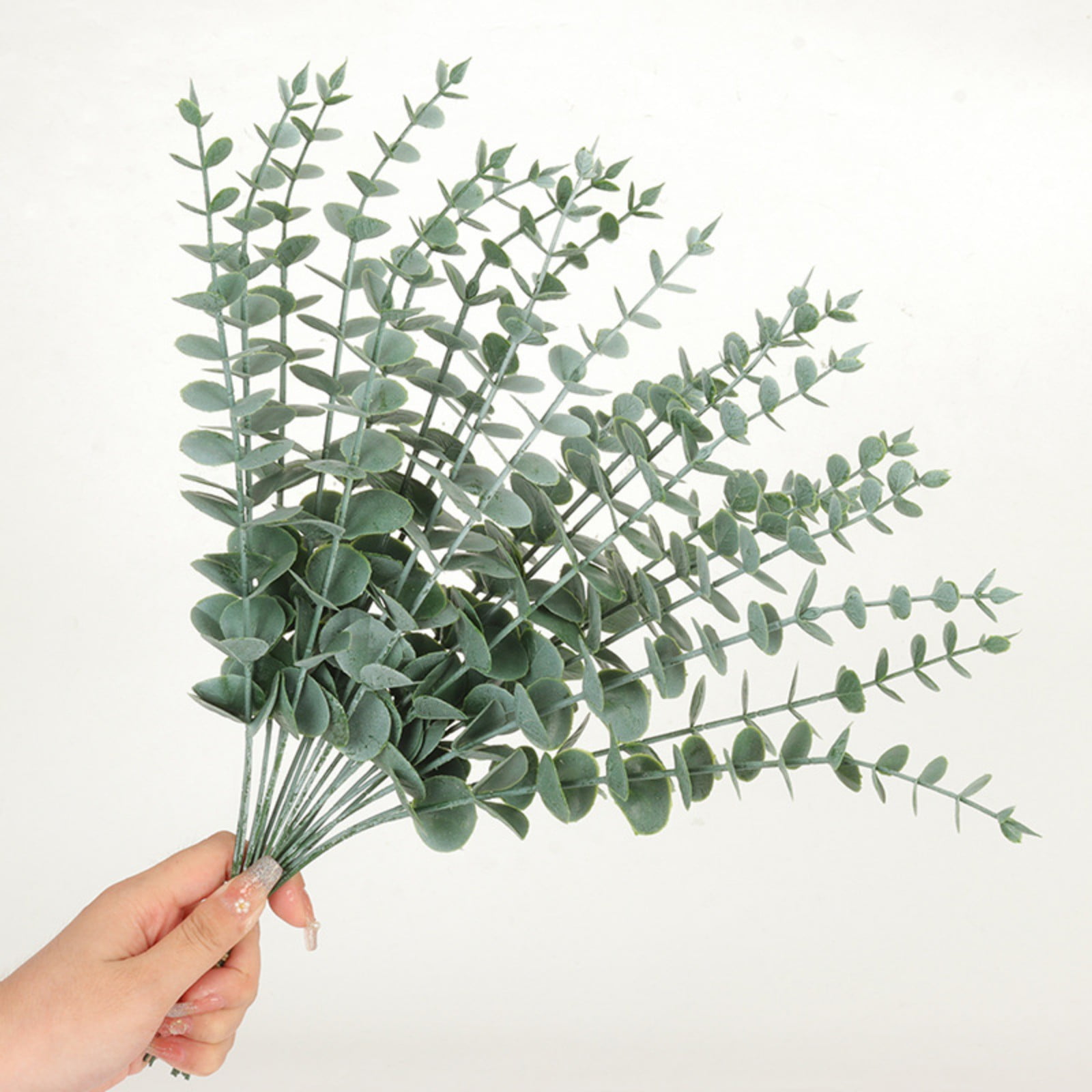 PreservedDriedEucalyptusBranches,15" 100 Natural Fresh Eucalyptus