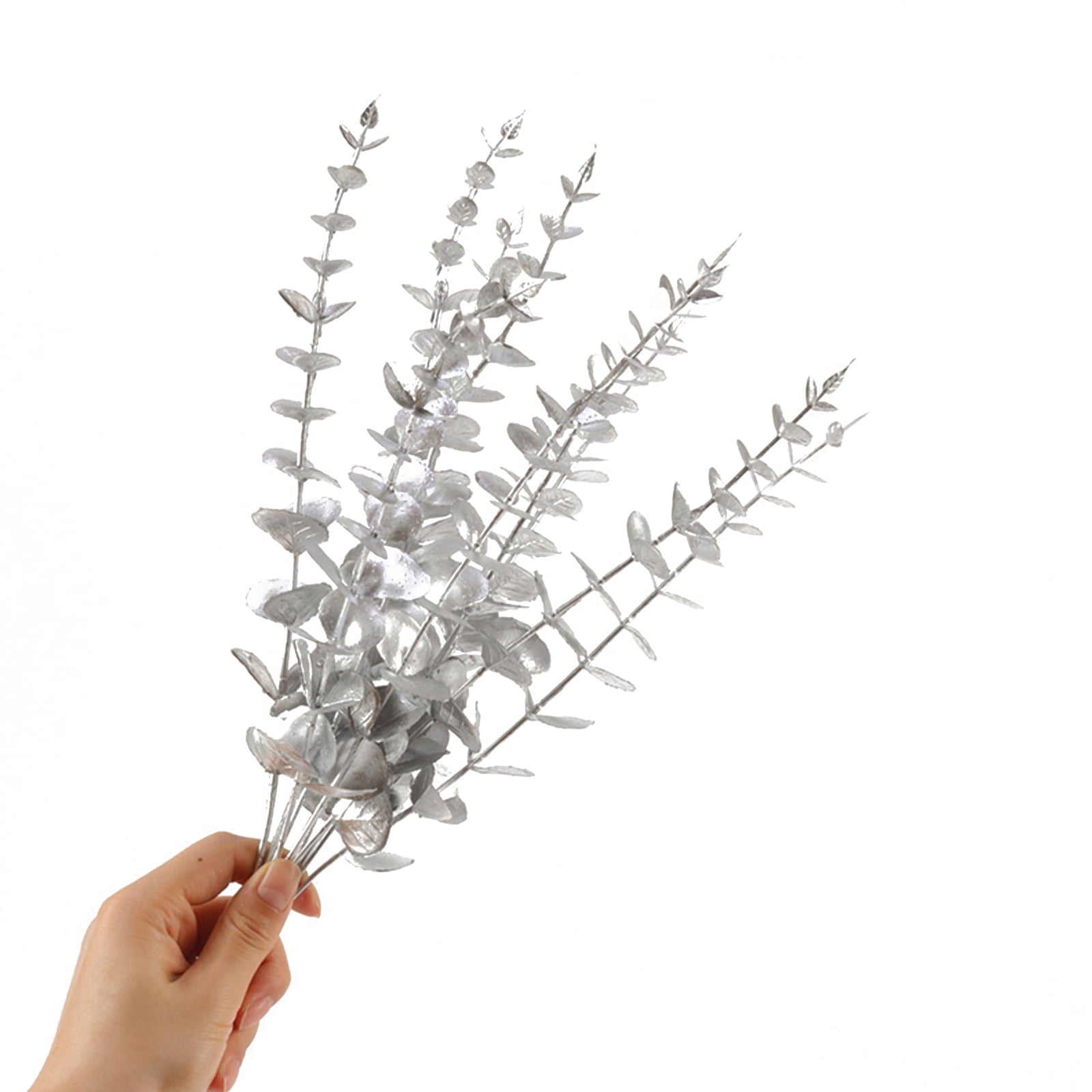 PreservedDriedEucalyptusBranches,15" 100 Natural Fresh Eucalyptus