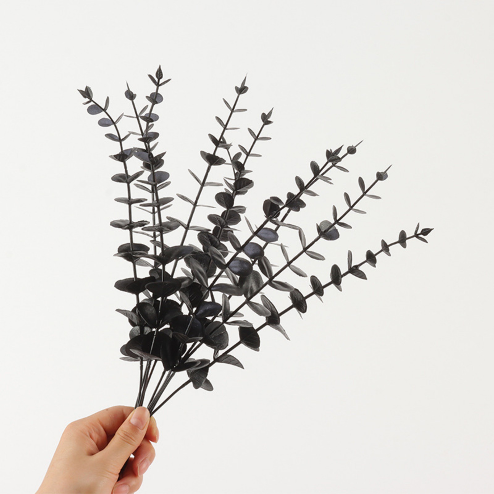 PreservedDriedEucalyptusBranches,15" 100 Natural Fresh Eucalyptus