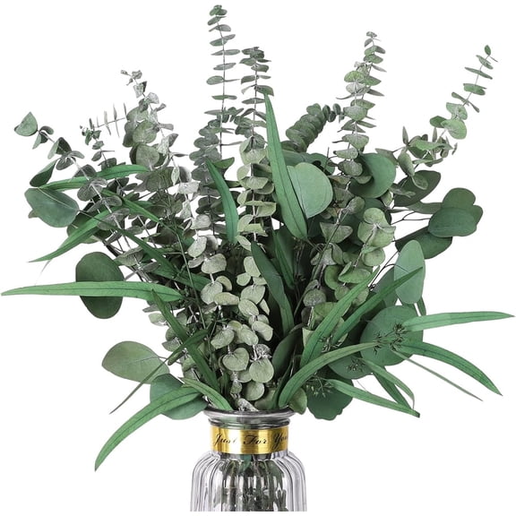 Preserved Dried Eucalyptus Bundles,Mixed Dried Eucalyptus Leaves Stems,Natural Eucalyptus Garland Greenery Plant for Shower Hanging Wedding Bouquet Vase Floral Arrangements By TGY