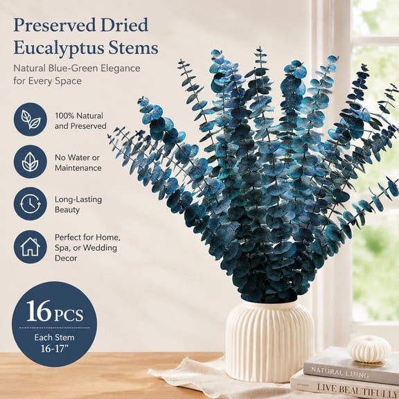 Preserved Dried Eucalyptus Stems 16-17" Natural Blue-Green Leaves for Home Decor, Wedding, Spa, Vase Fillers, 16 Pieces