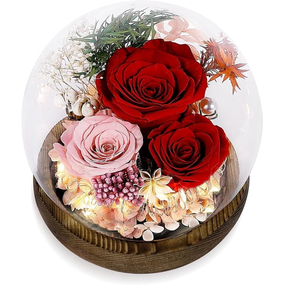 Preserved Flower for Delivery Prime Valentine Gift for Women, Birthday Forever Red Rose Flower Fresh Bouquet, Unique Eternal Flower Gift for Mom Grandma Wife Valentine's Day Gift