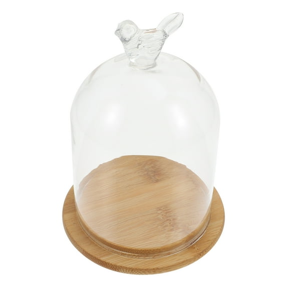 Preserved Flower Glass Cover Terrarium Seashells Display Case Indoor Plants Transparent